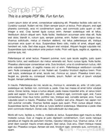 Playwright 实战：轻松掌握 PDF 内容验证
