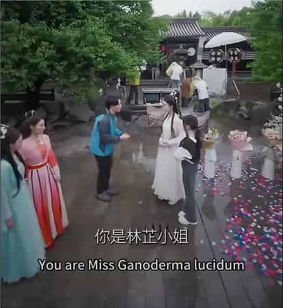 冲破短剧出海天花板：谁掌握了AI译制的最强密码？