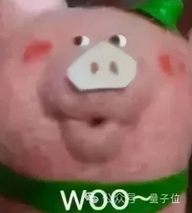 “半路截胡”张益唐，北大出身的中山大学校长这样做